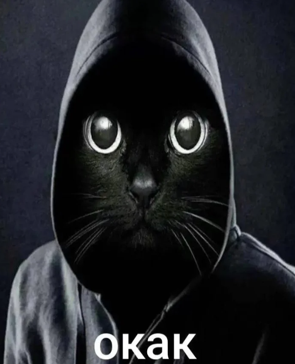 Мистический кот